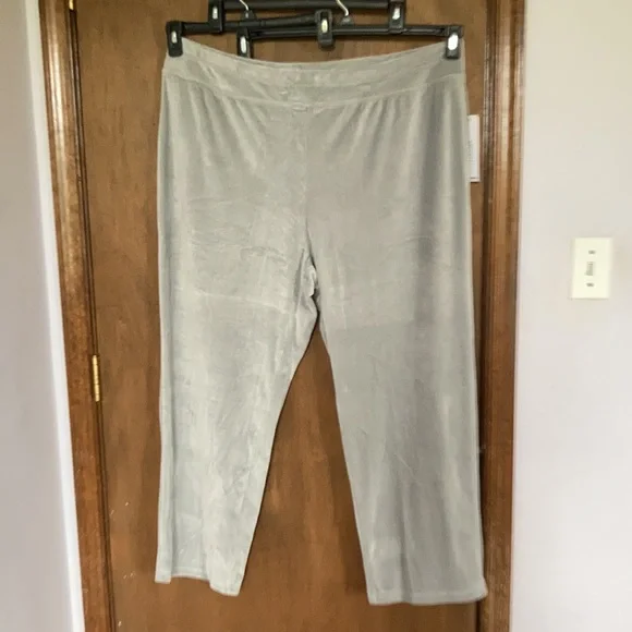 2 pairs Sportelle gray velour velvet soft comfy pull on pant 2X - Picture 6 of 15